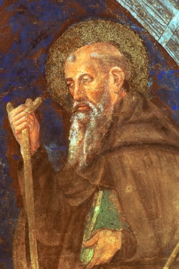 Madonna con Bambino, San Francesco d'Assisi, San Giovanni Battista, Sant'Antonio abate e San Venanzio